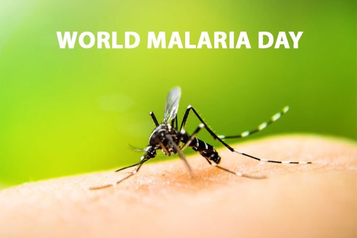 malaria, dunya malaria günü